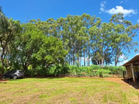 imagem 1 - Vende-se Sítio em Santo Antônio da Alegria-SP 18,5 hectares imagem 1 - Vende-se Sítio em Santo Antônio da Alegria-SP 18,5 hectares