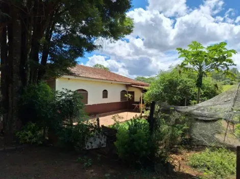 imagem 5 - Vende-se Sítio em Santo Antônio da Alegria-SP 18,5 hectares imagem 5 - Vende-se Sítio em Santo Antônio da Alegria-SP 18,5 hectares