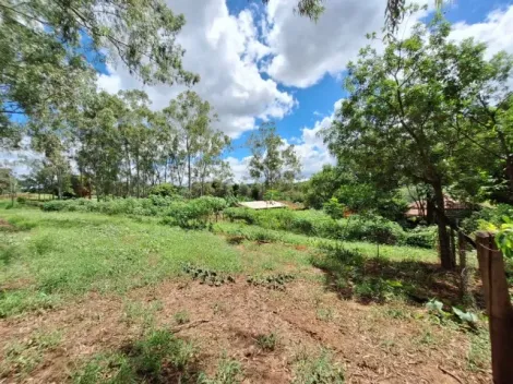 imagem 2 - Vende-se Sítio em Santo Antônio da Alegria-SP 18,5 hectares imagem 2 - Vende-se Sítio em Santo Antônio da Alegria-SP 18,5 hectares