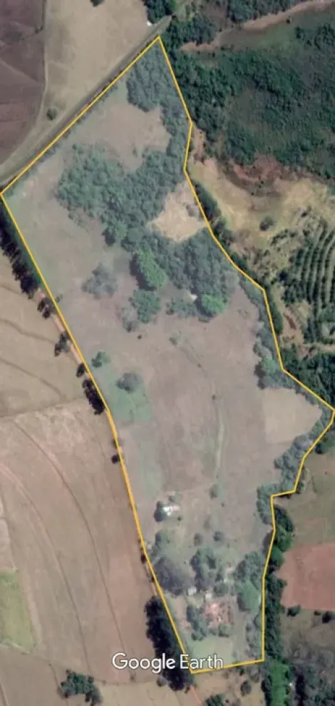 imagem 4 - Vende-se Sítio em Santo Antônio da Alegria-SP 18,5 hectares imagem 4 - Vende-se Sítio em Santo Antônio da Alegria-SP 18,5 hectares