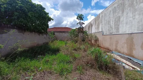 imagem 2 - Terreno para Locação no Bairro Campos Elíseos, em Ribeirão Preto imagem 2 - Terreno para Locação no Bairro Campos Elíseos, em Ribeirão Preto