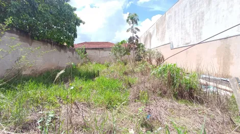 imagem 1 - Terreno para Locação no Bairro Campos Elíseos, em Ribeirão Preto imagem 1 - Terreno para Locação no Bairro Campos Elíseos, em Ribeirão Preto