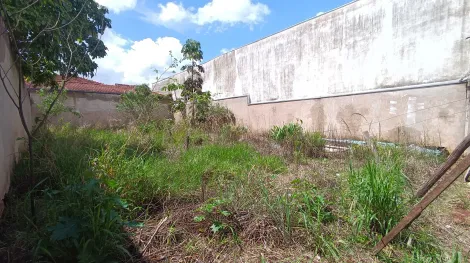 imagem 3 - Terreno para Locação no Bairro Campos Elíseos, em Ribeirão Preto imagem 3 - Terreno para Locação no Bairro Campos Elíseos, em Ribeirão Preto