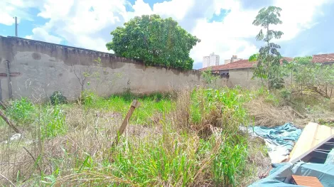 imagem 4 - Terreno para Locação no Bairro Campos Elíseos, em Ribeirão Preto imagem 4 - Terreno para Locação no Bairro Campos Elíseos, em Ribeirão Preto