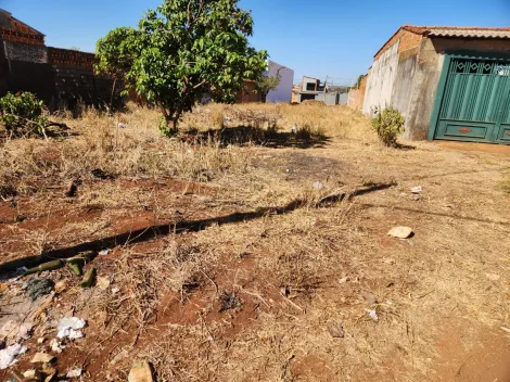 imagem 3 - Terrenos - LoteTerreno imagem 3 - Terrenos - LoteTerreno