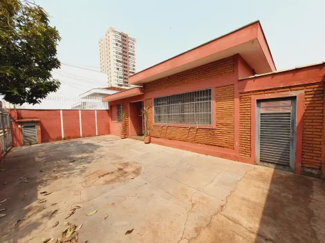 imagem 1 - Casa Térrea para Locação no Bairro Jardim Paulista, em Ribeirão Preto imagem 1 - Casa Térrea para Locação no Bairro Jardim Paulista, em Ribeirão Preto