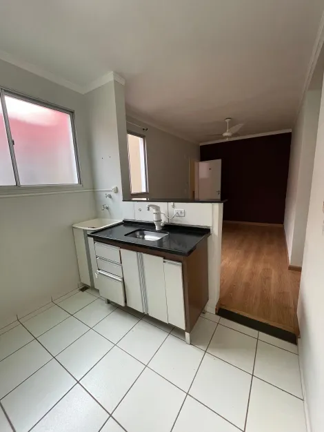 imagem 4 - Apaartamento para Venda no Bairro Jardim Residencial Elvio Lupo em Araraquara/SP. imagem 4 - Apaartamento para Venda no Bairro Jardim Residencial Elvio Lupo em Araraquara/SP.