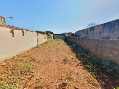 imagem 1 - Terrenos - LoteTerreno imagem 1 - Terrenos - LoteTerreno