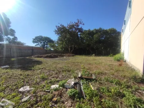 imagem 2 - Terreno misto para Locação no Bairro Jardim Paulistano, em Ribeirão Preto. imagem 2 - Terreno misto para Locação no Bairro Jardim Paulistano, em Ribeirão Preto.