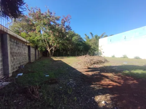 imagem 3 - Terreno misto para Locação no Bairro Jardim Paulistano, em Ribeirão Preto. imagem 3 - Terreno misto para Locação no Bairro Jardim Paulistano, em Ribeirão Preto.