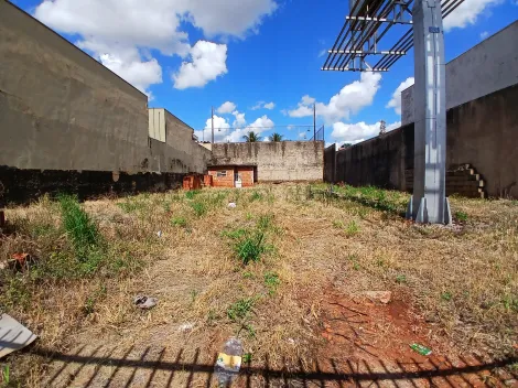 imagem 3 - Terrenos - LoteTerreno imagem 3 - Terrenos - LoteTerreno