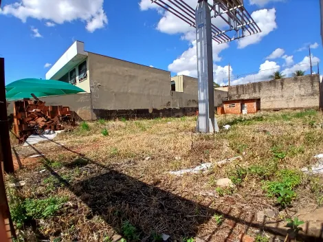 imagem 1 - Terrenos - LoteTerreno imagem 1 - Terrenos - LoteTerreno