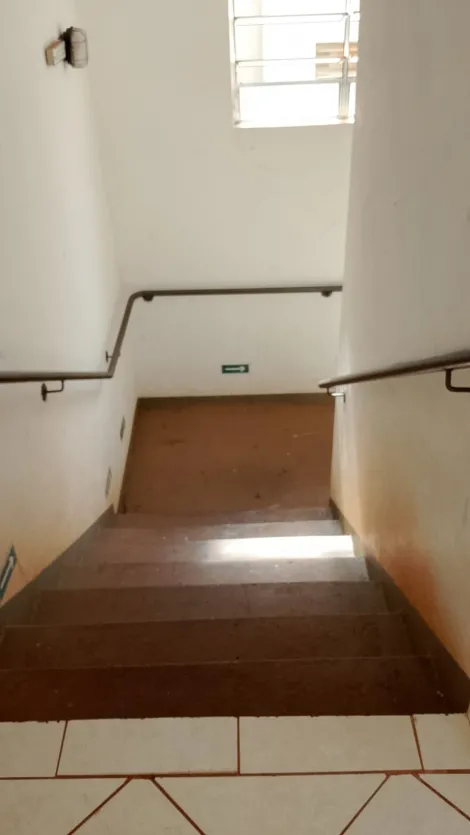 imagem 1 - Apartamentos - Padrão imagem 1 - Apartamentos - Padrão