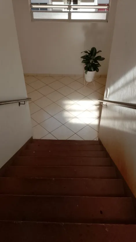 imagem 4 - Apartamentos - Padrão imagem 4 - Apartamentos - Padrão