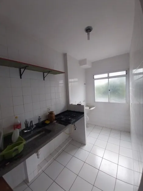 imagem 3 - Apartamentos - Padrão imagem 3 - Apartamentos - Padrão