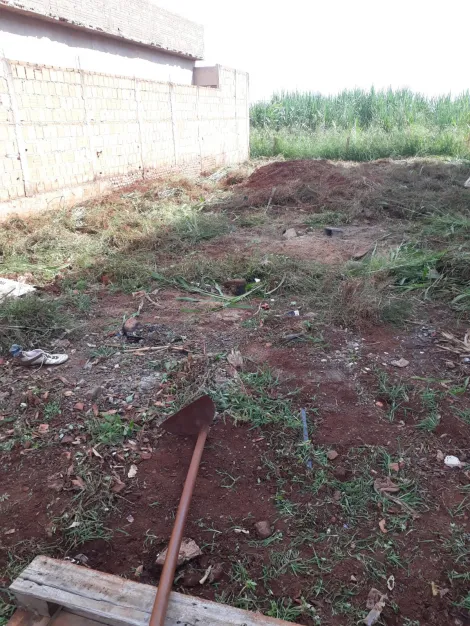 imagem 2 - Terreno para Venda no Bairro Jardim Vera Lúcia em Barrinha/SP. imagem 2 - Terreno para Venda no Bairro Jardim Vera Lúcia em Barrinha/SP.