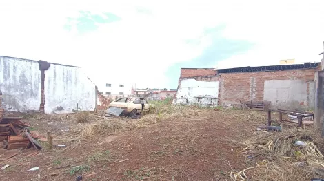 imagem 1 - Terreno misto para Locação no Bairro Vila Tibério, em Ribeirão Preto imagem 1 - Terreno misto para Locação no Bairro Vila Tibério, em Ribeirão Preto