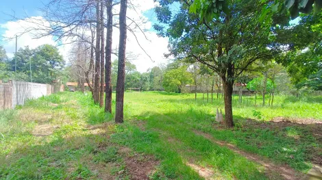 imagem 5 - Chacara para locação no condominio Recreio Internacional, em Ribeirão Preto imagem 5 - Chacara para locação no condominio Recreio Internacional, em Ribeirão Preto