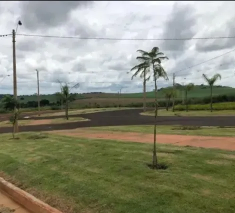 imagem 1 - Terrenos - LoteTerreno imagem 1 - Terrenos - LoteTerreno