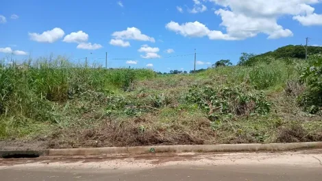imagem 1 - Terrenos - LoteTerreno imagem 1 - Terrenos - LoteTerreno