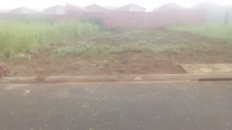 imagem 1 - Terrenos - LoteTerreno imagem 1 - Terrenos - LoteTerreno