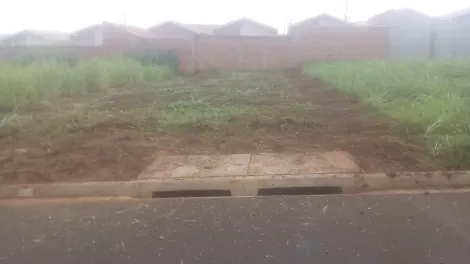 imagem 2 - Terrenos - LoteTerreno imagem 2 - Terrenos - LoteTerreno