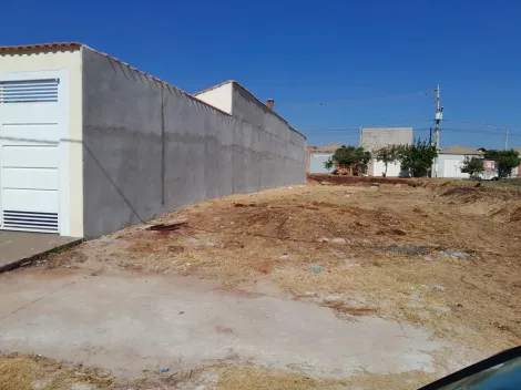 imagem 1 - Terrenos - LoteTerreno imagem 1 - Terrenos - LoteTerreno