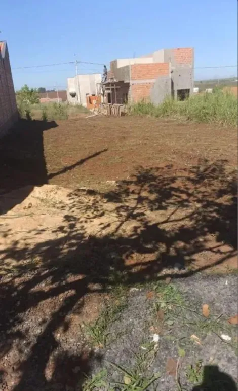 imagem 1 - Terrenos - LoteTerreno imagem 1 - Terrenos - LoteTerreno