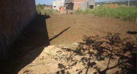 imagem 2 - Terrenos - LoteTerreno imagem 2 - Terrenos - LoteTerreno