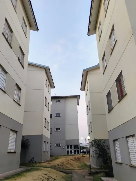 imagem 5 - Apartamentos - Padrão imagem 5 - Apartamentos - Padrão