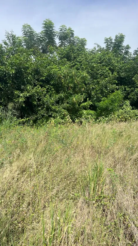 imagem 1 - Terreno Para uso Misto no Industrial Lagoinha (Zona Industrial) IRA 2,5 imagem 1 - Terreno Para uso Misto no Industrial Lagoinha (Zona Industrial) IRA 2,5