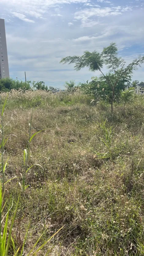 imagem 2 - Terreno Para uso Misto no Industrial Lagoinha (Zona Industrial) IRA 2,5 imagem 2 - Terreno Para uso Misto no Industrial Lagoinha (Zona Industrial) IRA 2,5