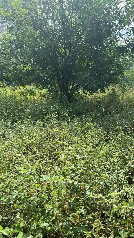 imagem 1 - Terreno Para uso Misto no Industrial Lagoinha (Zona Industrial) IRA 2,5 imagem 1 - Terreno Para uso Misto no Industrial Lagoinha (Zona Industrial) IRA 2,5