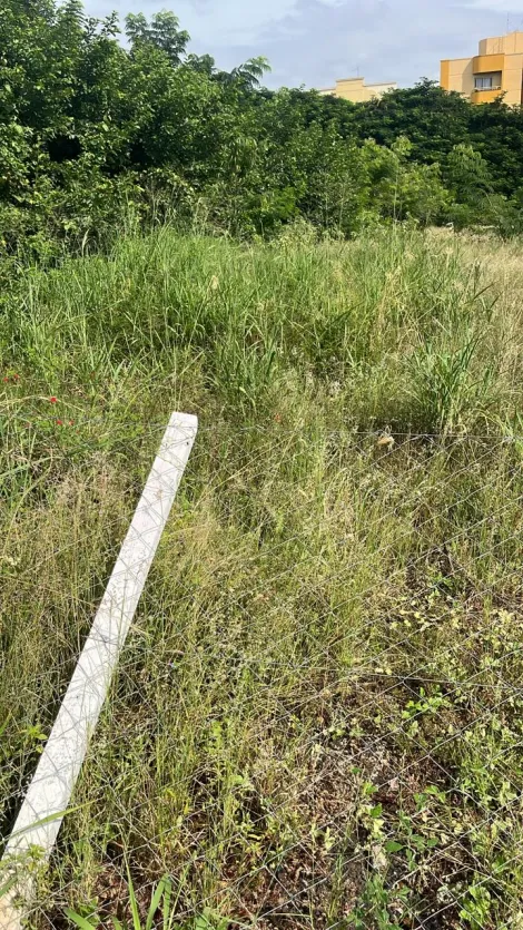 imagem 2 - Terreno Para uso Misto no Industrial Lagoinha (Zona Industrial) IRA 2,5 imagem 2 - Terreno Para uso Misto no Industrial Lagoinha (Zona Industrial) IRA 2,5