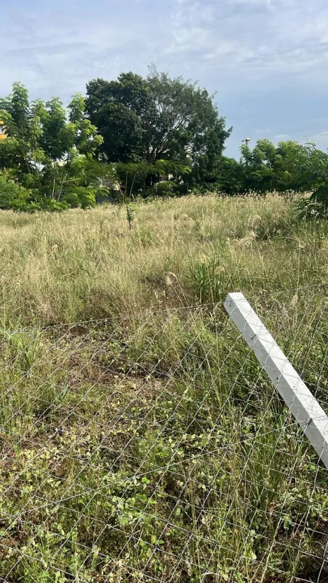 imagem 3 - Terreno Para uso Misto no Industrial Lagoinha (Zona Industrial) IRA 2,5 imagem 3 - Terreno Para uso Misto no Industrial Lagoinha (Zona Industrial) IRA 2,5