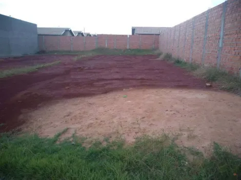 imagem 1 - Terrenos - LoteTerreno imagem 1 - Terrenos - LoteTerreno