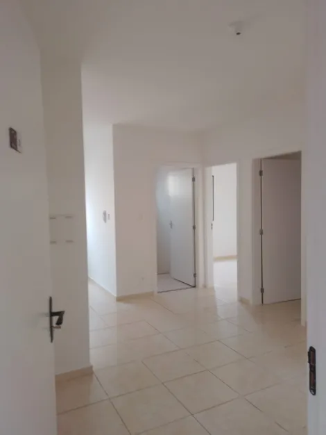 imagem 5 - Apartamentos - Padrão imagem 5 - Apartamentos - Padrão