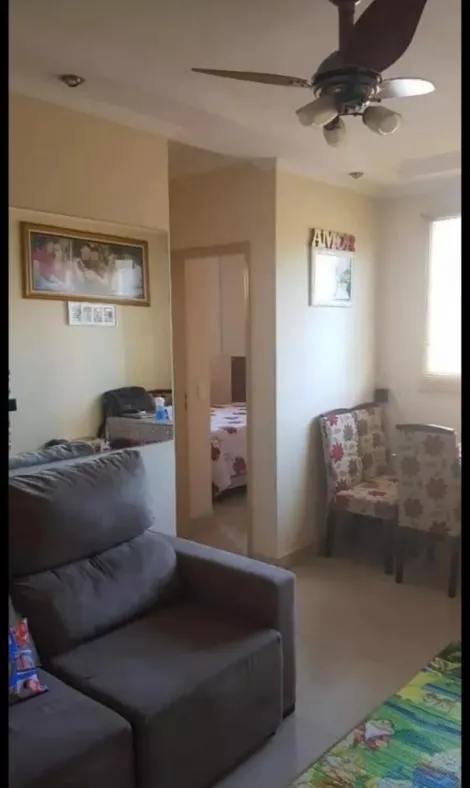 imagem 5 - Apartamentos - Padrão imagem 5 - Apartamentos - Padrão