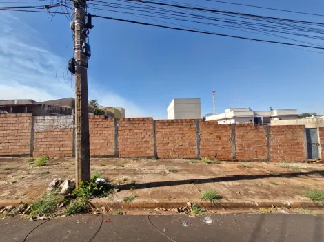 imagem 3 - Terrenos - LoteTerreno imagem 3 - Terrenos - LoteTerreno