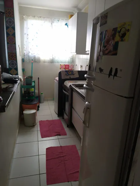 imagem 4 - Apartamento para venda no condomínio Spazio Robespierre, na City Ribeirão imagem 4 - Apartamento para venda no condomínio Spazio Robespierre, na City Ribeirão