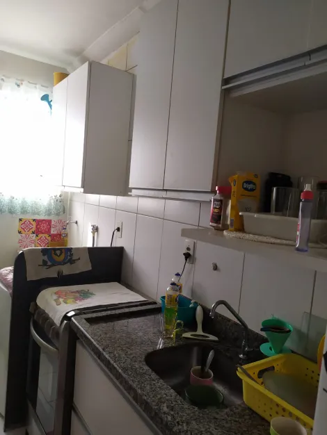 imagem 5 - Apartamento para venda no condomínio Spazio Robespierre, na City Ribeirão imagem 5 - Apartamento para venda no condomínio Spazio Robespierre, na City Ribeirão