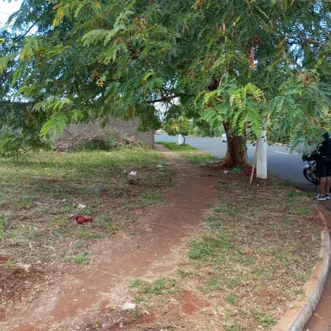 imagem 5 - Terrenos - LoteTerreno imagem 5 - Terrenos - LoteTerreno