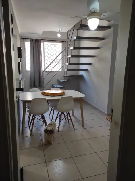 imagem 5 - Apartamentos - Duplex imagem 5 - Apartamentos - Duplex