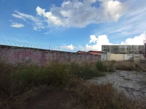 imagem 1 - Terreno misto para Locação no Bairro Campos Elíseos, em Ribeirão Preto imagem 1 - Terreno misto para Locação no Bairro Campos Elíseos, em Ribeirão Preto
