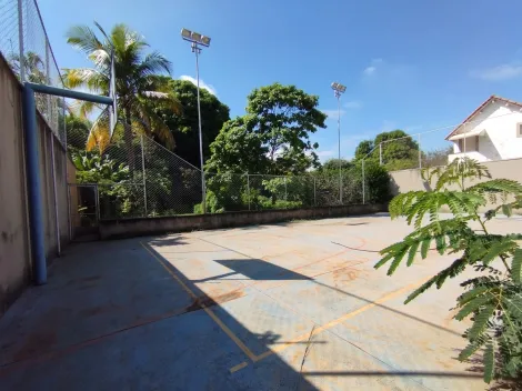 imagem 5 - Casa Comercial Térrea para Locação no Bairro Jardim Canadá, em Ribeirão Preto imagem 5 - Casa Comercial Térrea para Locação no Bairro Jardim Canadá, em Ribeirão Preto