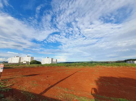 imagem 3 - Terrenos - LoteTerreno imagem 3 - Terrenos - LoteTerreno