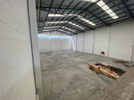 imagem 1 - Galpão comercial para Locação no Bairro Jardim Paschoal Innecchi, em Ribeirão Preto SP. imagem 1 - Galpão comercial para Locação no Bairro Jardim Paschoal Innecchi, em Ribeirão Preto SP.
