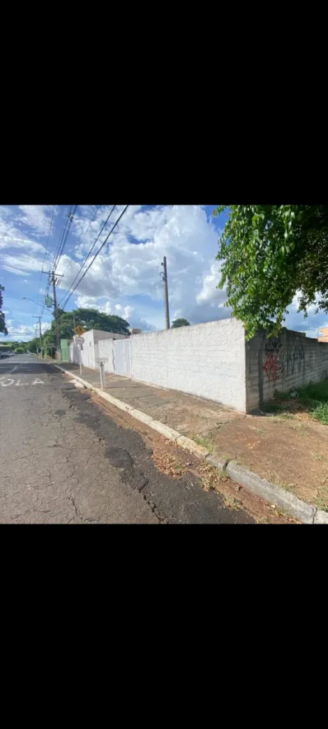 imagem 1 - Terrenos - LoteTerreno imagem 1 - Terrenos - LoteTerreno