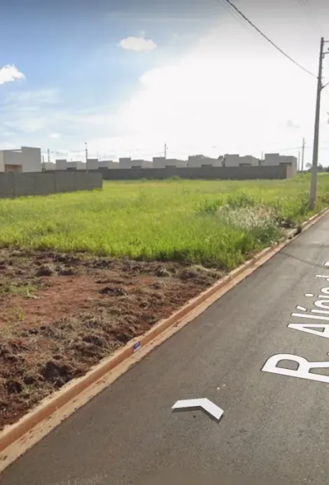 imagem 4 - Terrenos - LoteTerreno imagem 4 - Terrenos - LoteTerreno