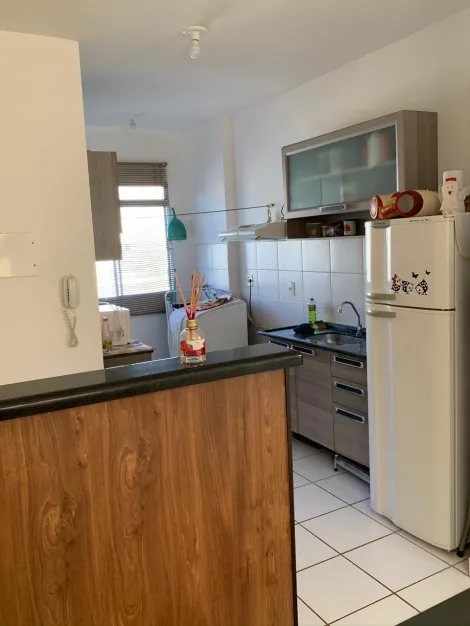 imagem 3 - Apartamentos - Padrão imagem 3 - Apartamentos - Padrão